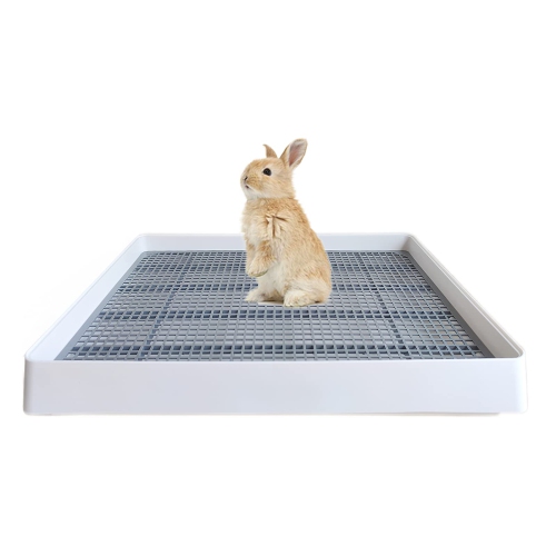 Big rabbit litter top box