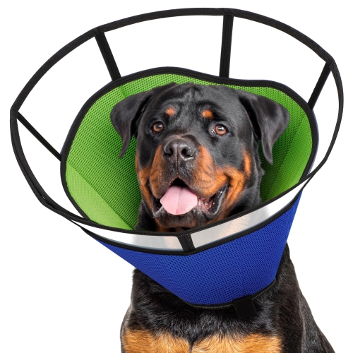 Dog cone hotsell for small dog