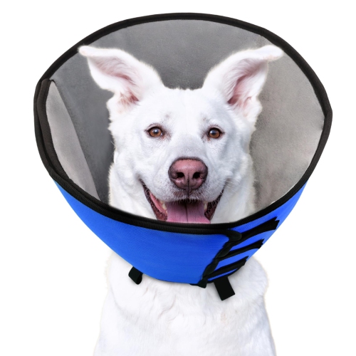 Dog on sale cone comfy