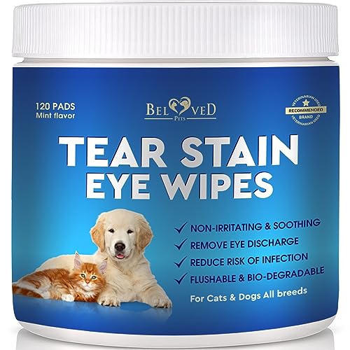 Dog allergy 2024 relief wipes