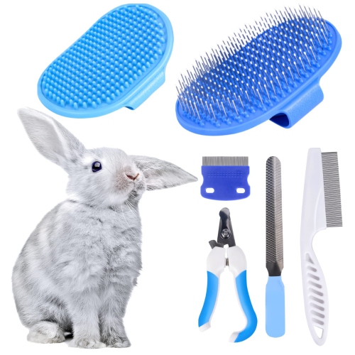 Guinea pig shop grooming kit