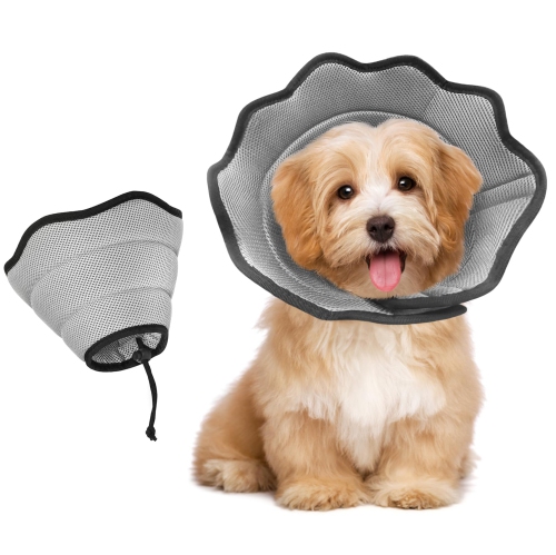 Dog cone discount for small dog