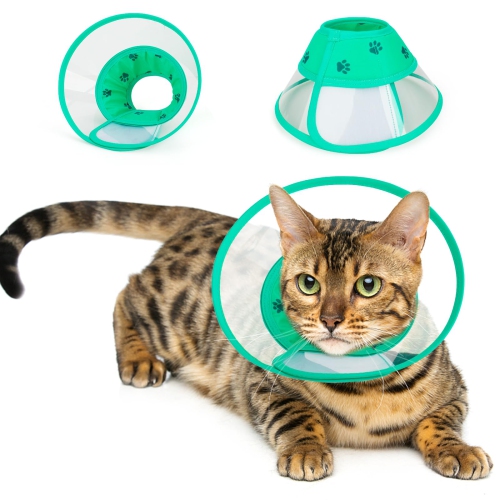 Cat plastic cone discount collar