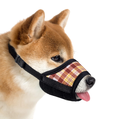 Dog chewing hot sale muzzle