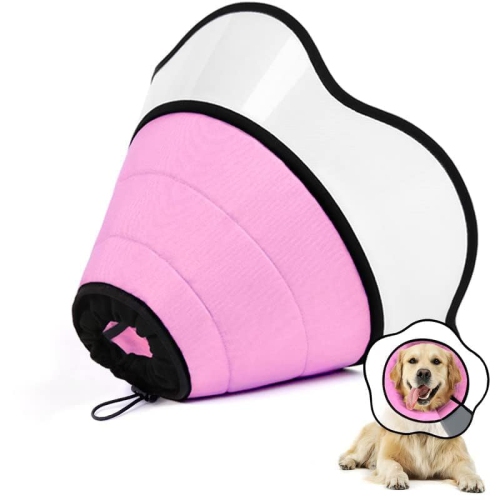 Dog cone in outlet store