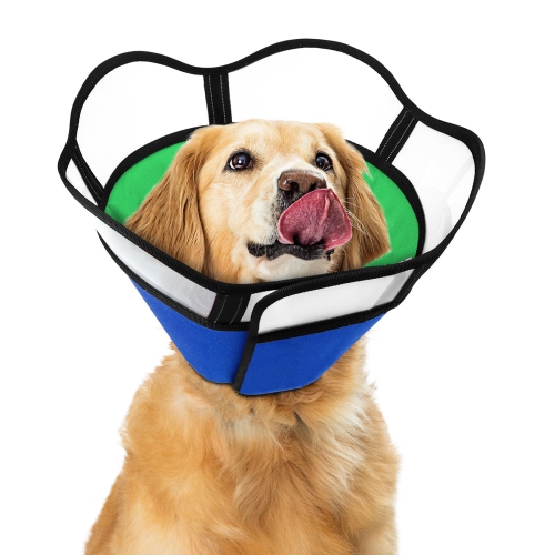 Dog cone outlet for large dog