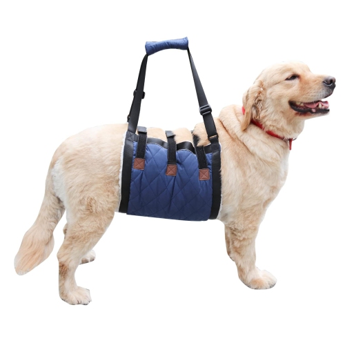 Senior dog assist clearance harness