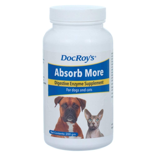 Digestive supplements hotsell for dogs