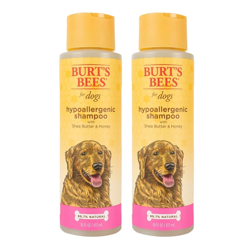 Shea Butter & Honey Hypoallergenic Dog Shampoo Ideal for Dry or