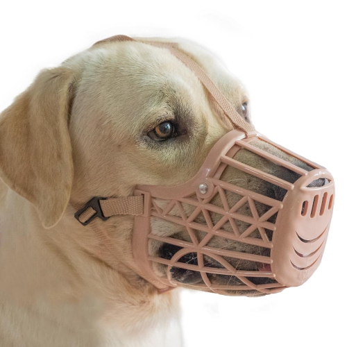 Muzzle dog 2025 for vet