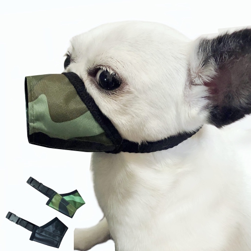 Small dog muzzle clearance for grooming