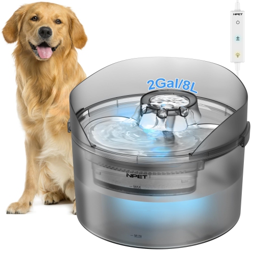 Automatic dog outlet water bowl indoor