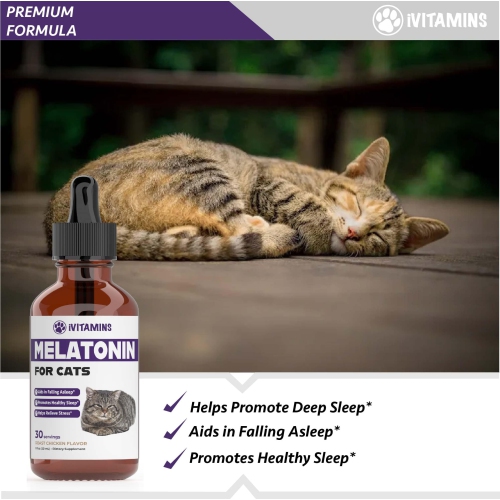 Melatonin for best sale cats petsmart