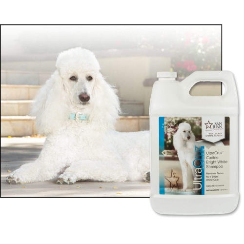 Bright white outlet dog shampoo