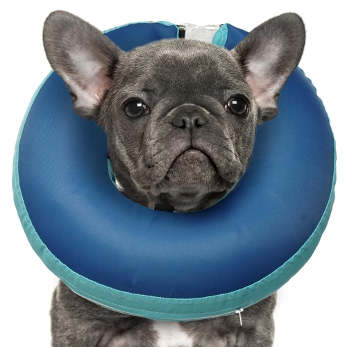 Blow up hotsell dog cone collar