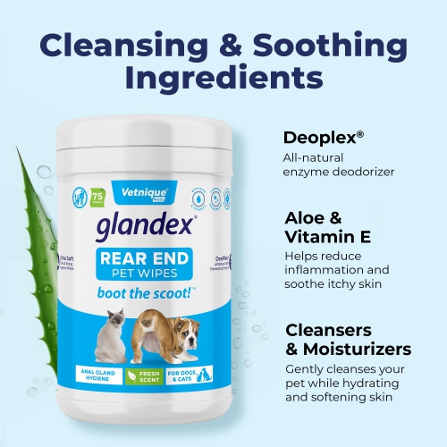 Glandex pets hot sale at home