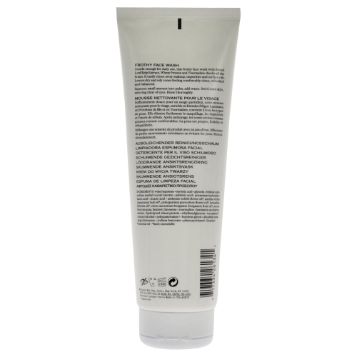 Checks and Balances Frothy Face Wash by Origins for Unisex - 8.5 oz Cleanser