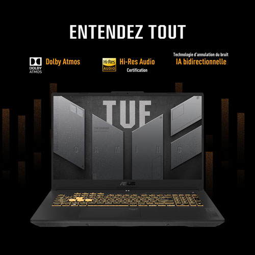 ASUS TUF Gaming F17 17.3" Gaming Laptop - Mecha Grey