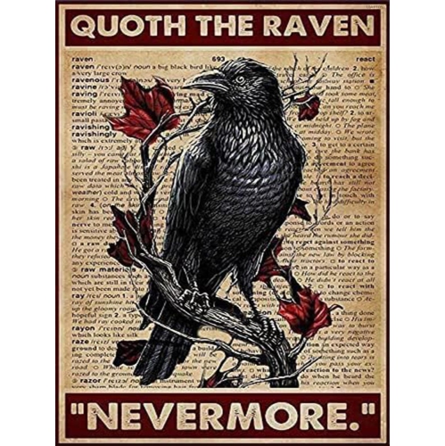 Raven Nevermore 5D Diamond Art Painting Kit DIY Home Decor and