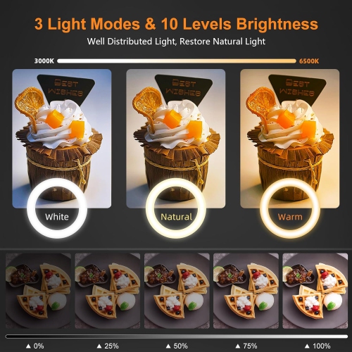 Overhead Phone Mount with Ring Light for Desk, 10" Selfie Light with Stand and Phone Holder, Overhead Camera Mount Tripod with Remote for Video