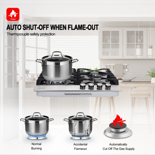 GASLAND 24" 4 Burners NG/LPG Convertible Gas Cooktop, ETL Certified, Stainless Steels, Black