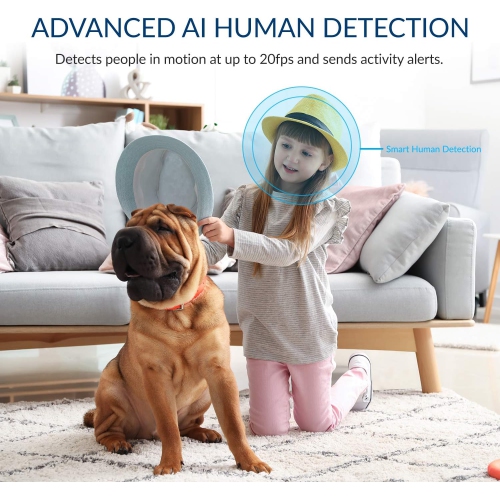 YI 2pc Pan-Tilt Dome Security Camera, 360 Degree 2.4G Smart Indoor Pet Dog Cat Cam with Night Vision, 2-Way Audio, Motion Detection, Phone APP,