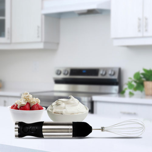 Kenmore 400-Watt Variable Speed Immersion Blender with Food Chopper and Whisk - Silver/Black