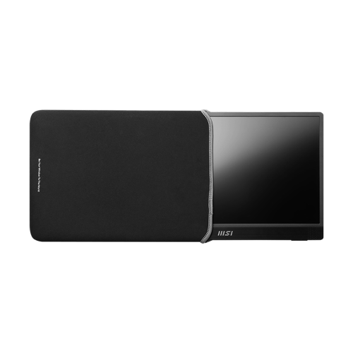 MSI 16" FHD 60Hz 4ms 16:9 IPS Tilt Adjustment Flat Portable Montior, Pro MP161 E2