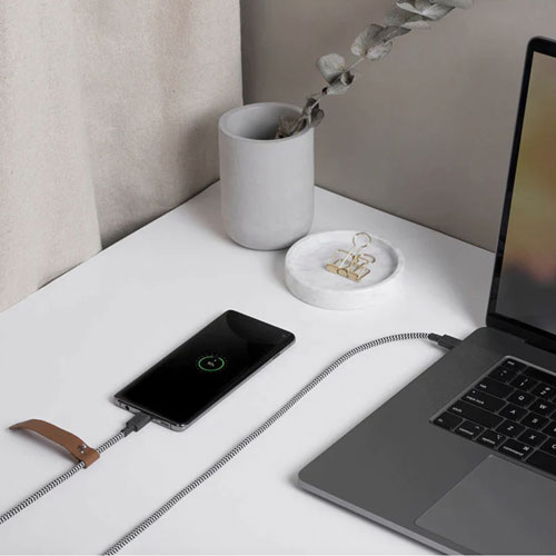 Câble USB-C à USB-C de 1,2 m de Native Union (BELT-C-ZEB-2-NP) - Zèbre