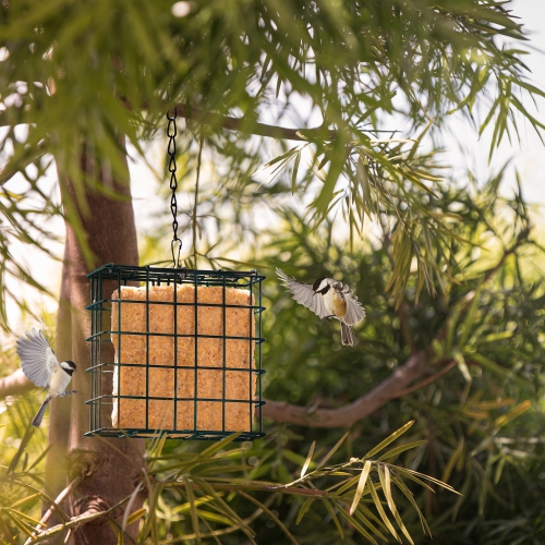 MEKKAPRO Double Delight Suet Feeder 2-Pack with Metal Roof, Dual Capacity, Weather-Resistant Hanging Bird Feeders - Easy to Use