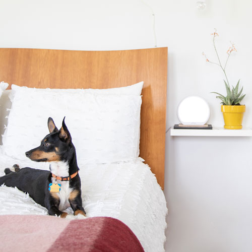 Lampe de luminothérapie HappyLight Alba de Verilux - Blanc