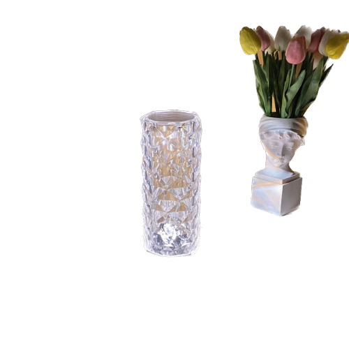 Bonsai Bright Multicolored Rechargeable Crystal Rose Lamp