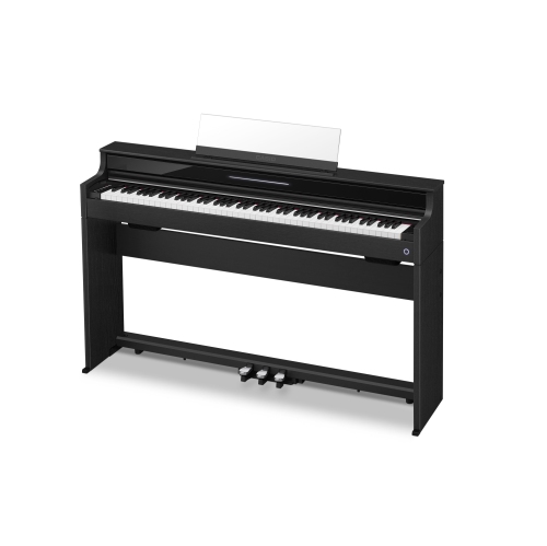 Casio piano best buy sale