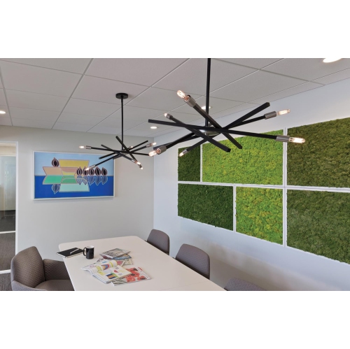 Hinkley Archer Collection Six Light Medium Chandelier, Satin Black