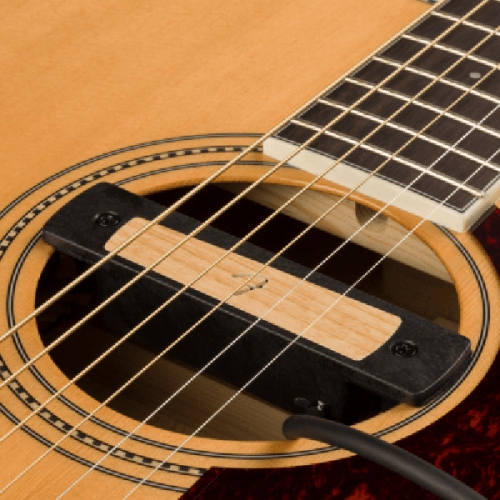 Micro acoustique à bobine simple Cypress de Fender - naturel