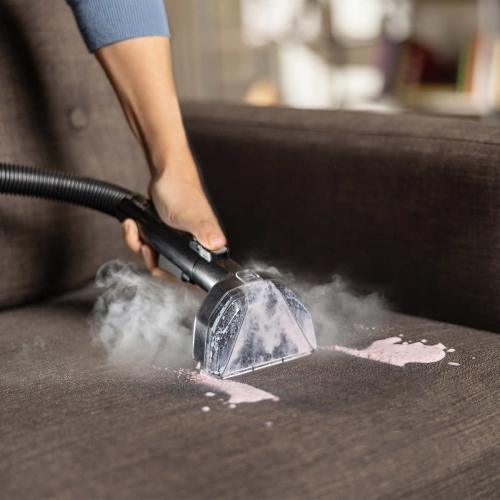 Nettoyeur de tapis portatif Little Green HydroSteam Pet de Bissell