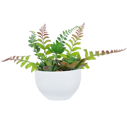 NORTHLIGHT  Potted Artificial Mixed Succulent Fern Plant - 11.5"