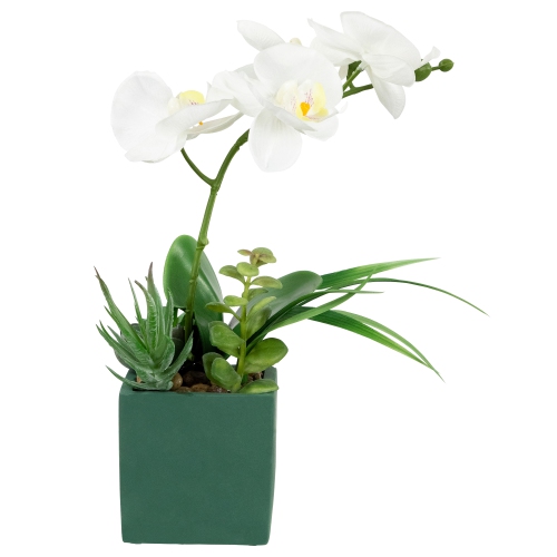 NORTHLIGHT  Artificial Orchid And Succulents - 12" - In White