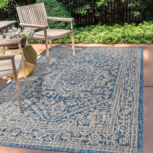Sinjuri Medallion Textured Weave Indoor/Outdoor Area Rug