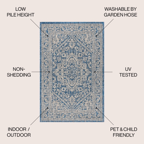 Sinjuri Medallion Textured Weave Indoor/Outdoor Area Rug