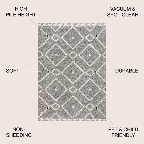 Mercer Shag Plush Tassel Moroccan Diamond Area Rug