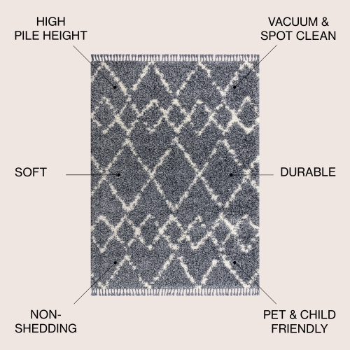 Mercer Shag Plush Tassel Moroccan Tribal Geometric Trellis Area Rug