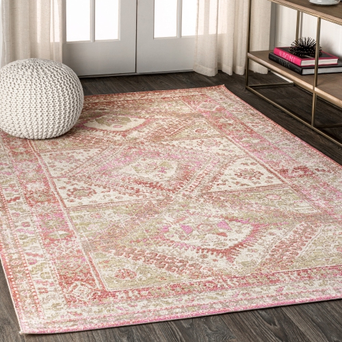 Darija Ornate Geometric Medallion Area Rug
