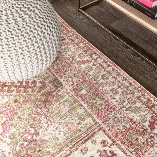 Darija Ornate Geometric Medallion Area Rug