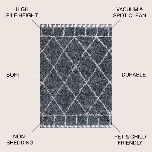 Mercer Shag Plush Tassel Moroccan Geometric Trellis Area Rug