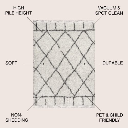 Mercer Shag Plush Tassel Moroccan Geometric Trellis Area Rug