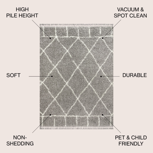 Mercer Shag Plush Tassel Moroccan Geometric Trellis Area Rug