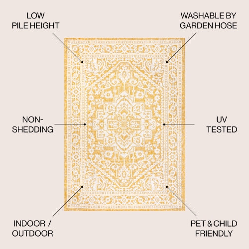 Sinjuri Medallion Textured Weave Indoor/Outdoor Area Rug