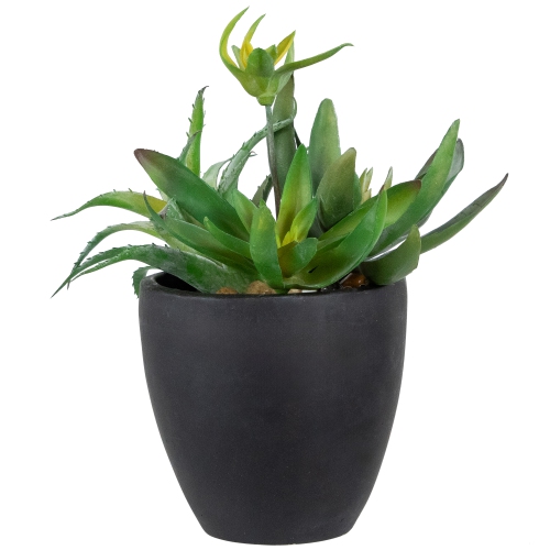 NORTHLIGHT  Potted Artificial Mixed Succulent Plant Arrangement - 11" In Green