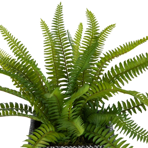 Artificial Boston Fern in Weathered Square Black Tin Pot - 20"